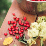 rose hips on a picnic table next to flowers and a bowl of rosehips