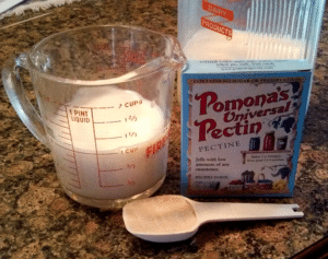 Step 3: Heat up 1cup of milk. Add the warm milk to a blender with 1T of Pomona's Pectin. Blend well.