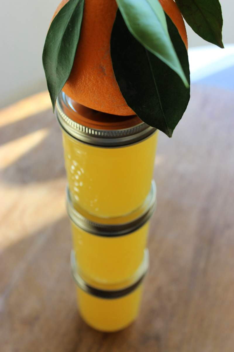 Mimosa Jelly Stack Small Pomona's Universal Pectin