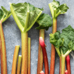 fresh rhubarb stocks on a slate table