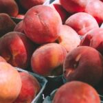 bushels of fresh peaches in the sunlight