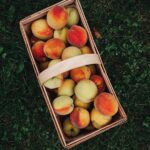 wooden basket filled with fresh peaches on a lawn